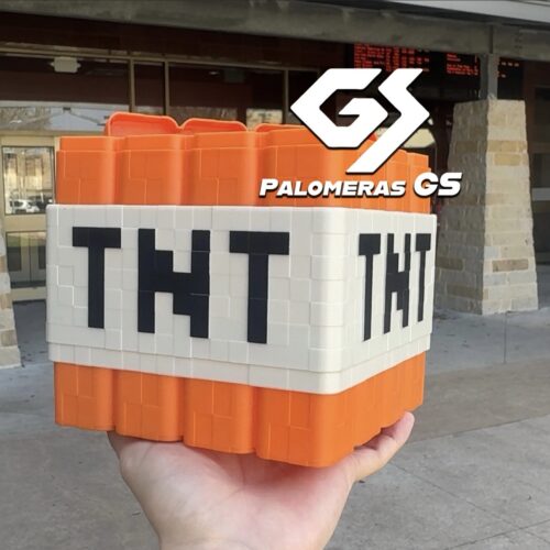 TNT Palomera