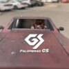Palomera Limusina Thunderbolts