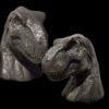 37b80089-501a-442f-b58a-3f19d8b8b348 Palomera T-Rex