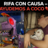 Rifa con causa 🍿